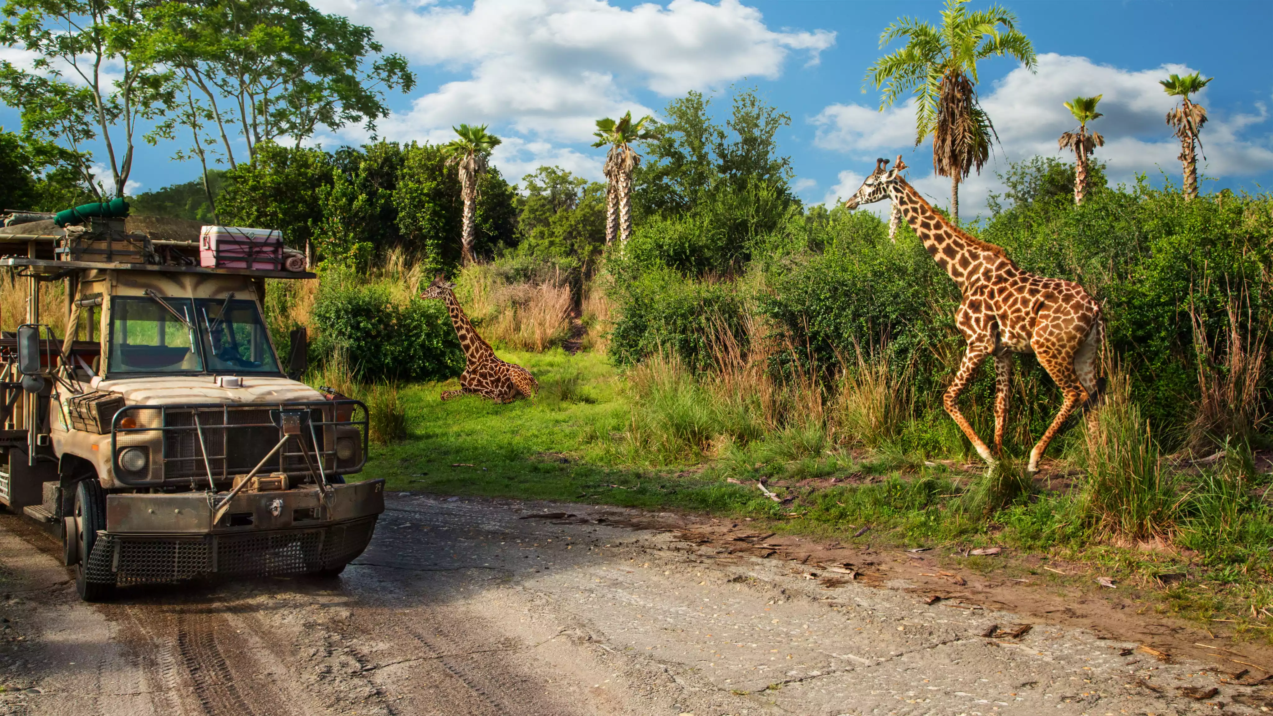 Animal Kingdom - safari et nature